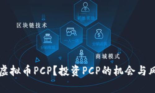 什么是虚拟币PCP?投资PCP的机会与风险分析
