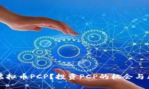 什么是虚拟币PCP?投资PCP的机会与风险分析