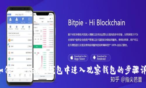  如何在Tokenim钱包中进入观察钱包的步骤详解