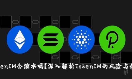 TokenIM会缩水吗？深入解析TokenIM的风险与收益