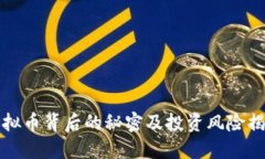 虚拟币背后的秘密及投资风险揭秘