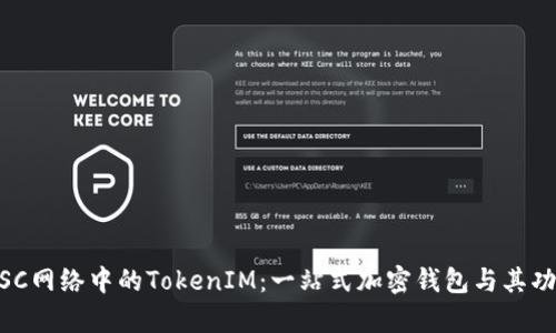 了解BSC网络中的TokenIM：一站式加密钱包与其功能分析