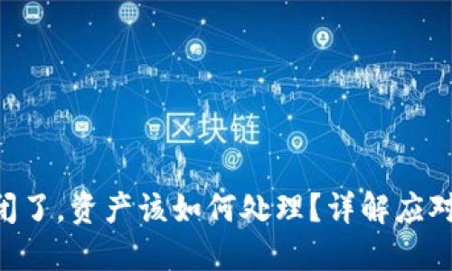 Tokenim倒闭了,资产该如何处理?详解应对措施与建议