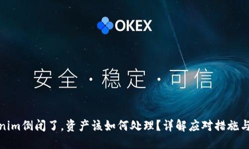 Tokenim倒闭了,资产该如何处理?详解应对措施与建议