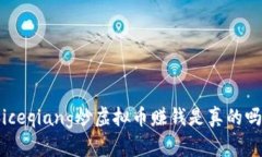 iceqiang炒虚拟币赚钱是真的吗