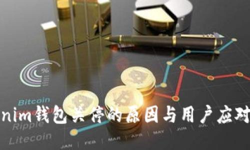Tokenim钱包关停的原因与用户应对策略