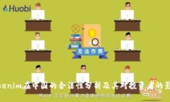 Tokenim在中国的合法性分析及其对投资者的影响