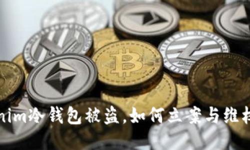 Tokenim冷钱包被盗,如何立案与维权指南