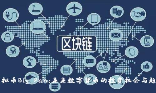 熊猫虚拟币Big Pan：未来数字货币的投资机会与趋势分析