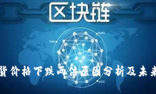 虚拟币现货价格下跌两倍原因分析及未来趋势预测