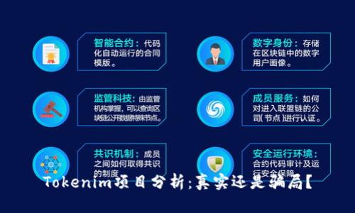 Tokenim项目分析：真实还是骗局？