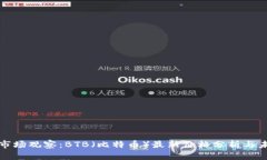 虚拟币市场观察：BTB（比特币）最新价格分析与