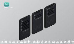 比特币的全面解析：虚拟币的先驱与未来展望