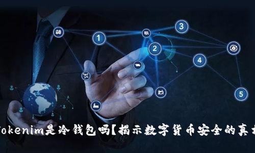 Tokenim是冷钱包吗？揭示数字货币安全的真相