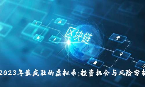 2023年最疯狂的虚拟币：投资机会与风险分析