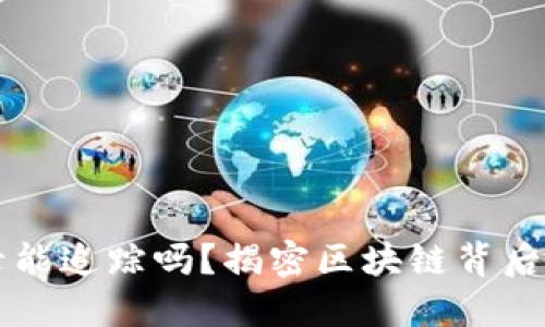 虚拟币交易记录能追踪吗？揭密区块链背后的隐私与透明度