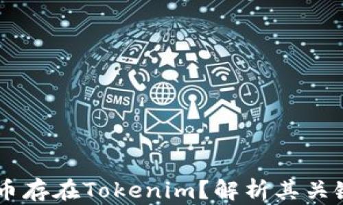 为什么DApp币存在Tokenim?解析其关键作用与影响