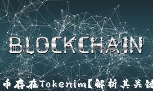 为什么DApp币存在Tokenim?解析其关键作用与影响