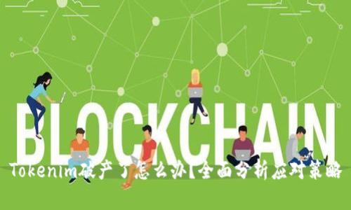 Tokenim破产了怎么办?全面分析应对策略