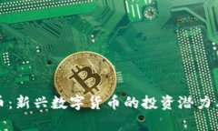 派友虚拟币：新兴数字货币的投资潜力与应用前