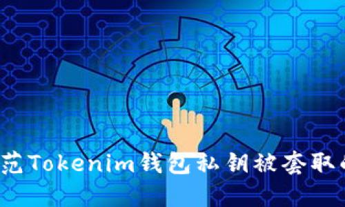 如何防范Tokenim钱包私钥被套取的风险?