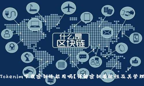 Tokenim下载密钥还能用吗?详解密钥有效性及其管理