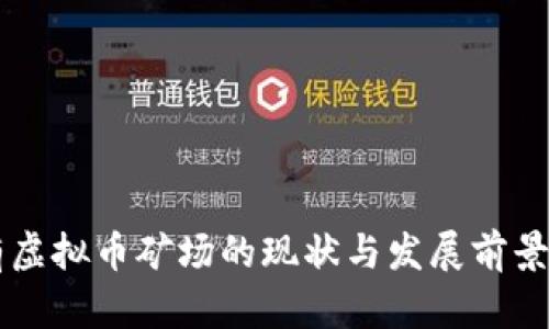 国有虚拟币矿场的现状与发展前景分析