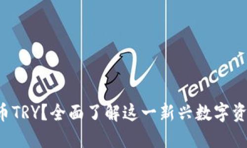 什么是虚拟币TRY?全面了解这一新兴数字资产的未来潜力