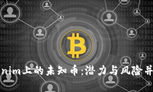 深入探索Tokenim上的未知币:潜力与风险并存的投资选择