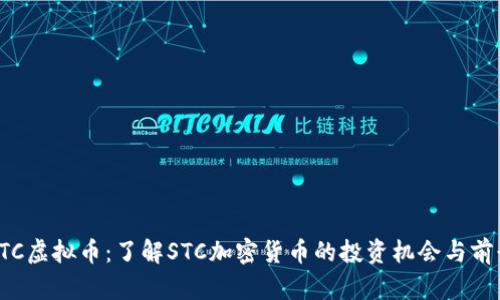 STC虚拟币:了解STC加密货币的投资机会与前景
