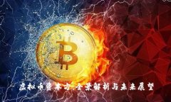 虚拟币资本方：全景解析与未来展望