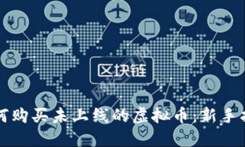 如何购买未上线的虚拟币:新手指南