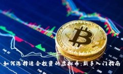 如何选择适合投资的虚拟币：新手入门指南