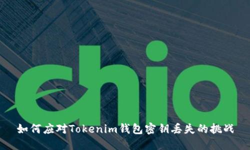 如何应对Tokenim钱包密钥丢失的挑战