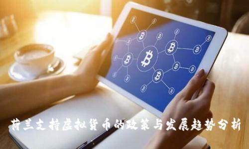 荷兰支持虚拟货币的政策与发展趋势分析