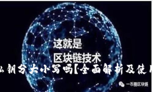 TokenIM私钥分大小写吗?全面解析及使用注意事项