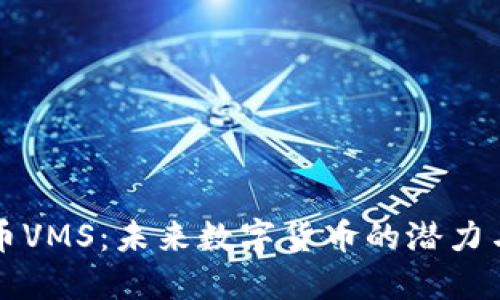 虚拟币VMS:未来数字货币的潜力与挑战