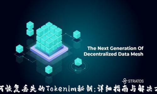 如何恢复丢失的Tokenim秘钥:详细指南与解决方案