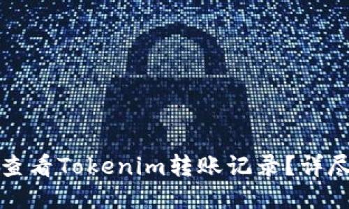 如何查看Tokenim转账记录?详尽指南