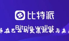 虚拟币在巴西的发展现状与未来展望
