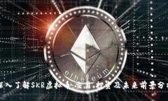 深入了解SKR虚拟币：交易、投资及未来前景分析