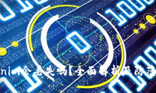 Tokenim会丢失吗?全面解析及防范措施