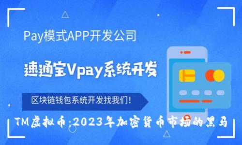 TM虚拟币:2023年加密货币市场的黑马