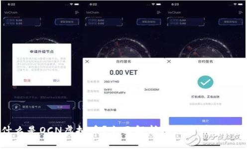 什么是OCN虚拟币？全面解析及投资前景分析