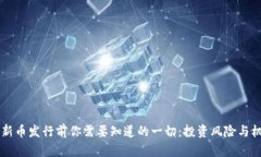 虚拟币新币发行前你需要知道的一切：投资风险
