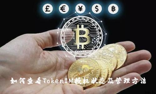 如何查看TokenIM授权状态及管理方法