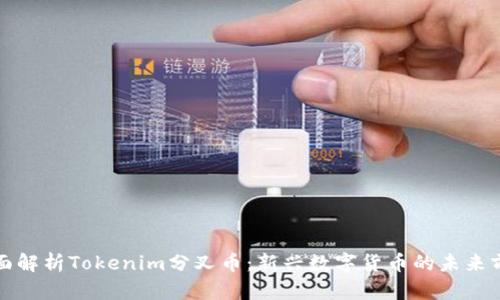 全面解析Tokenim分叉币:新兴数字货币的未来前景