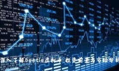 深入了解Beetle虚拟币：投资前景与市场分析