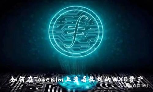 如何在Tokenim上查看收到的WXB资产