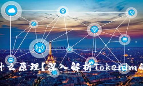 Tokenim是什么原理?深入解析Tokenim的机制与应用